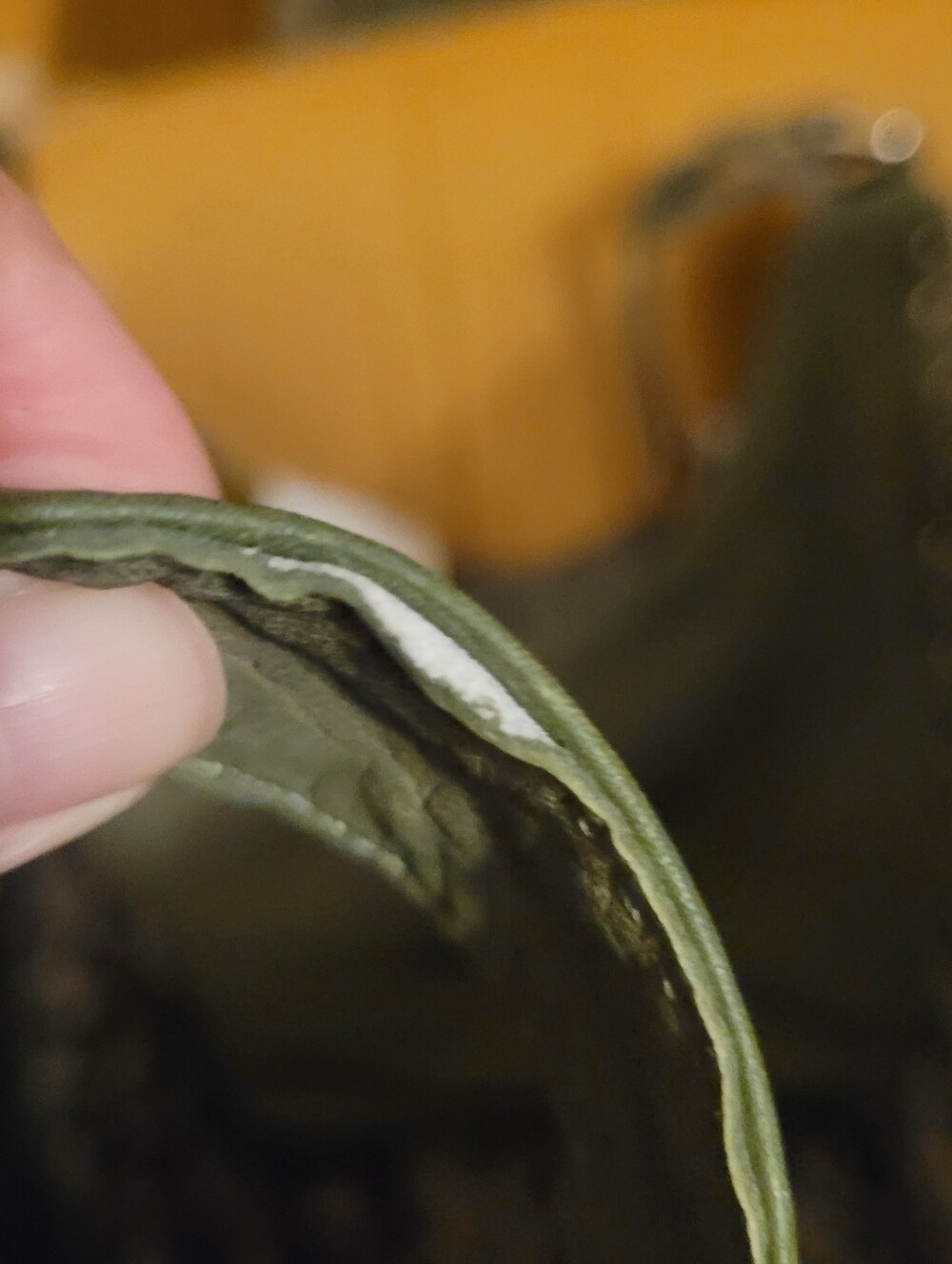 Beautiful Olive Green Boho Shoulder Bag – "Slight imperfections" - Picture 15 of 16